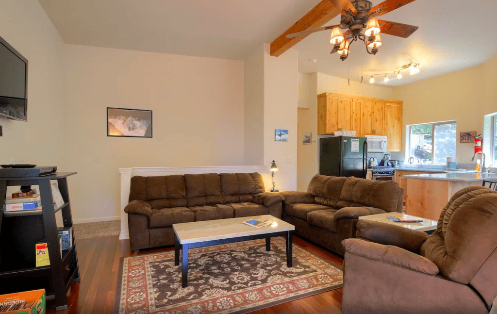 living room with couches and television
