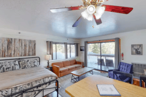 overview of studio, including queen bed, pul out couch and seating