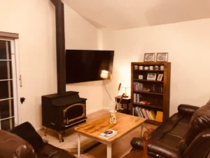 living room with wood stove and television