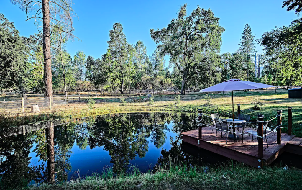 pond with dock