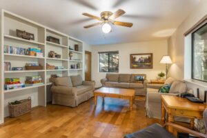 downstairs den with television and couches