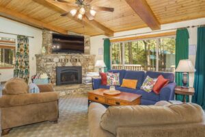 living room with stone fireplace, television, and seating