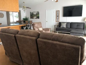living area with couches and television