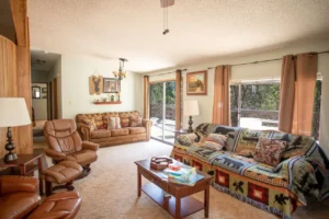 living room with couches