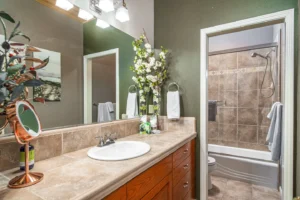 bathroom with shower tub