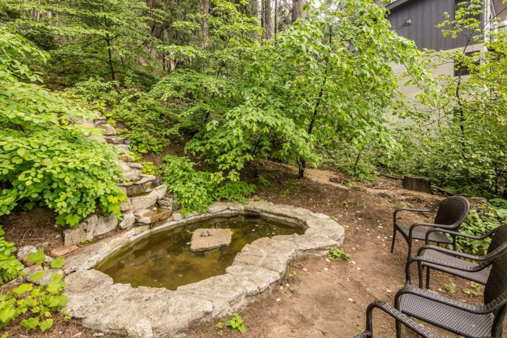small pond and seating area