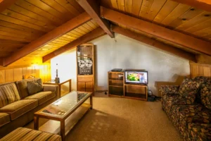 loft area with seating and television