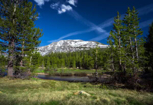 Snow-covered Mt Dana