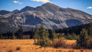 Mt Dana