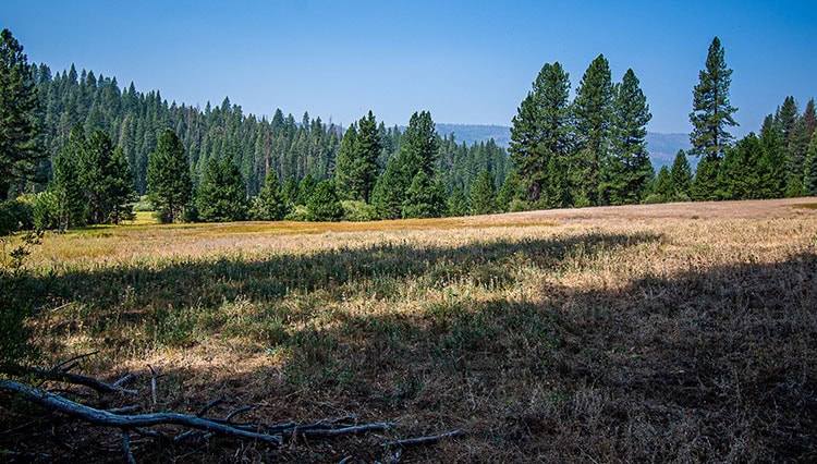 Wawona Meadow Loop Discover Yosemite National Park