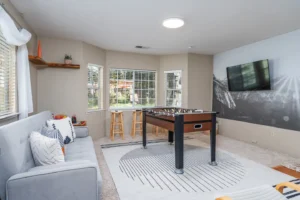 game room with television