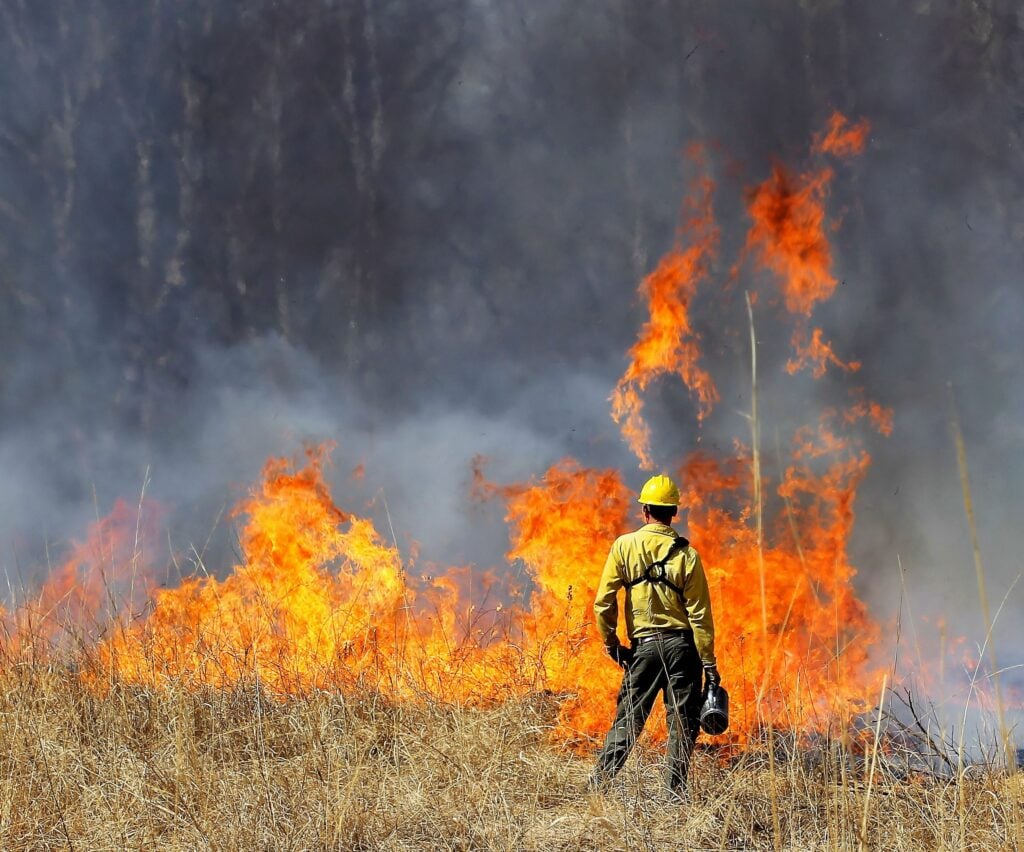 managed fire