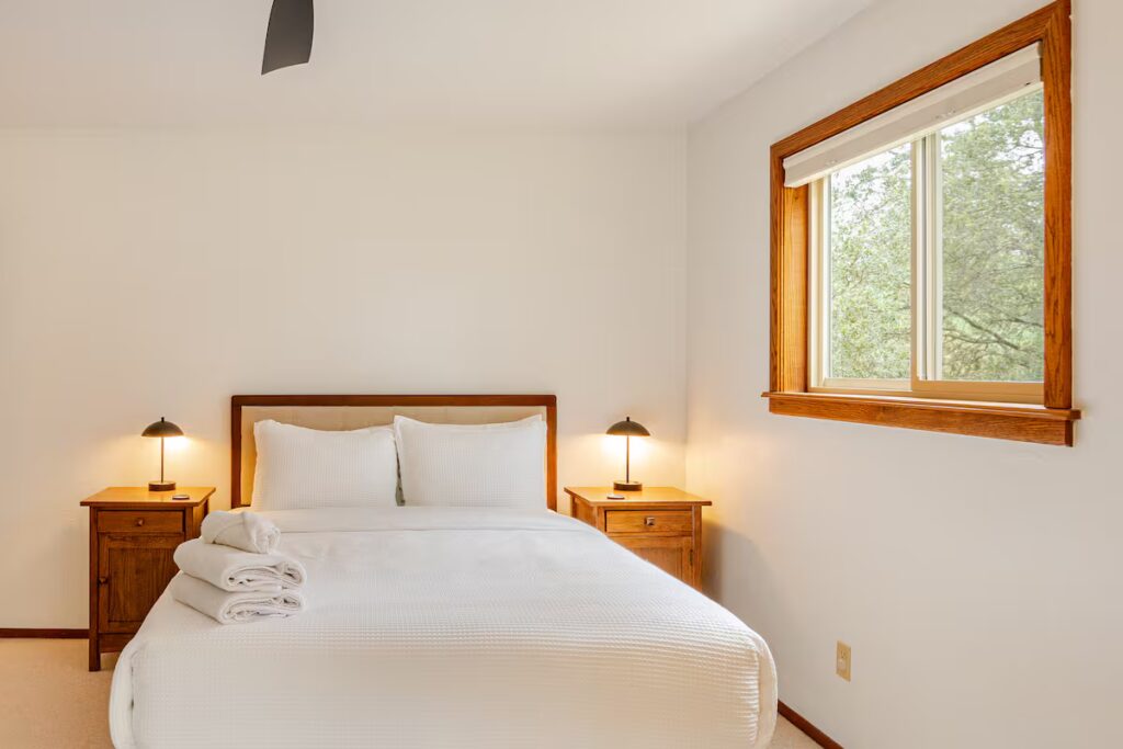 bedroom with pull out couch bed