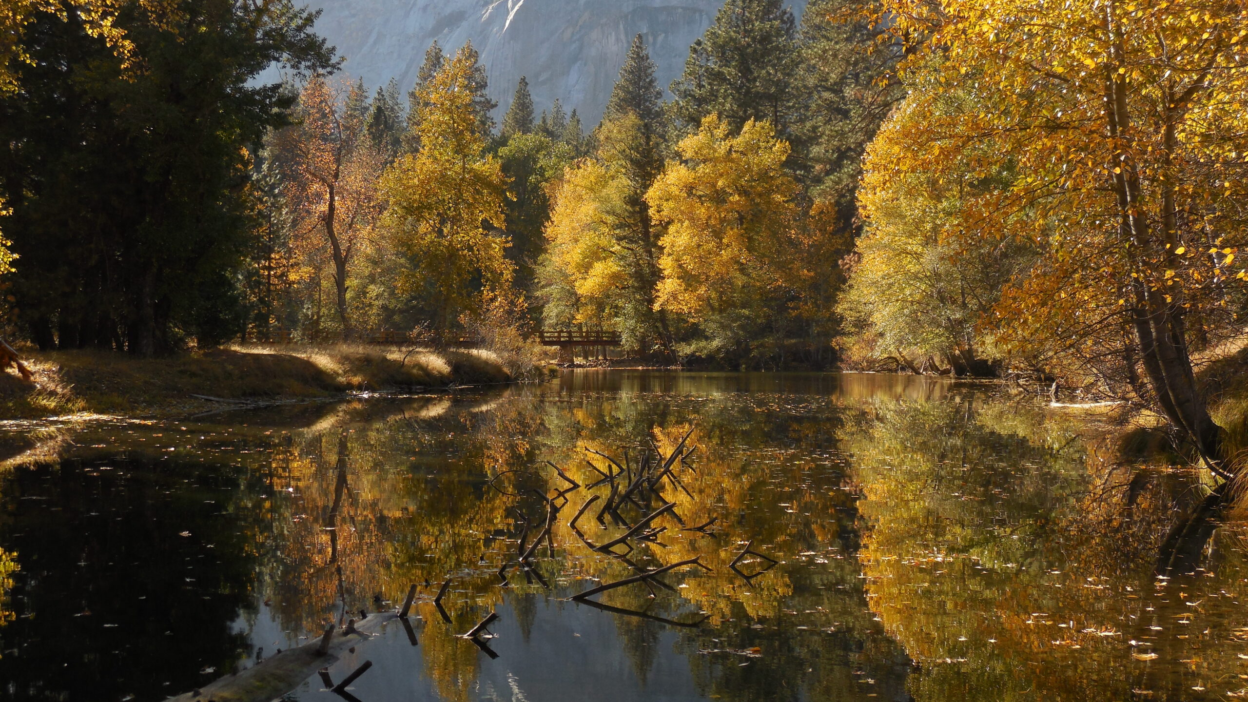 Fall’s Last Call: How to Enjoy Yosemite’s Autumn Moments