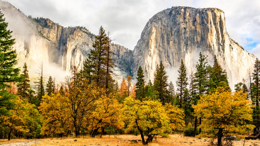 A view of El Capitan in fall. Yosemite's shoulder season.