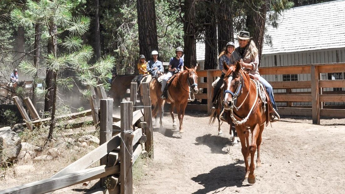 How to Go Horseback Riding in Yosemite Mariposa County